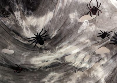 Spiders at the Museum